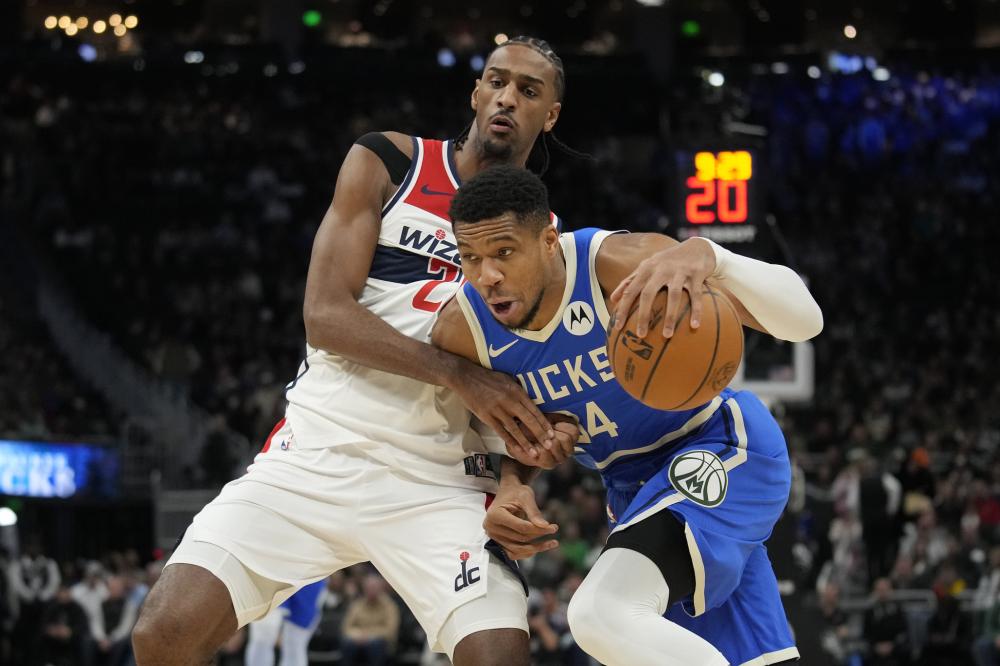 专家或替补 专家或替补