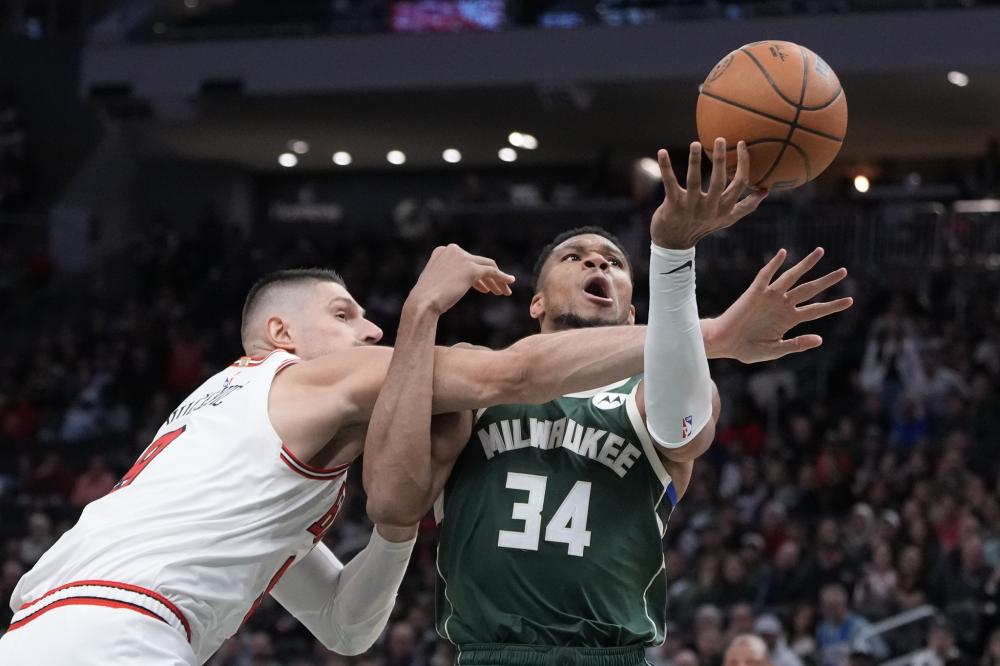 格证书的从 格证书的从